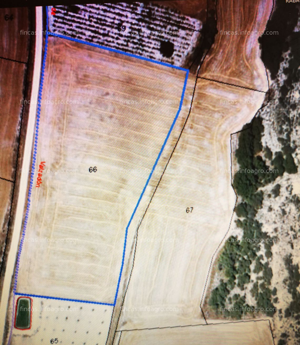 Fotos de A la venta  VIÑEDOS Y PARCELAS DE REGADIO Y SECANO RIBERA DE DUERO