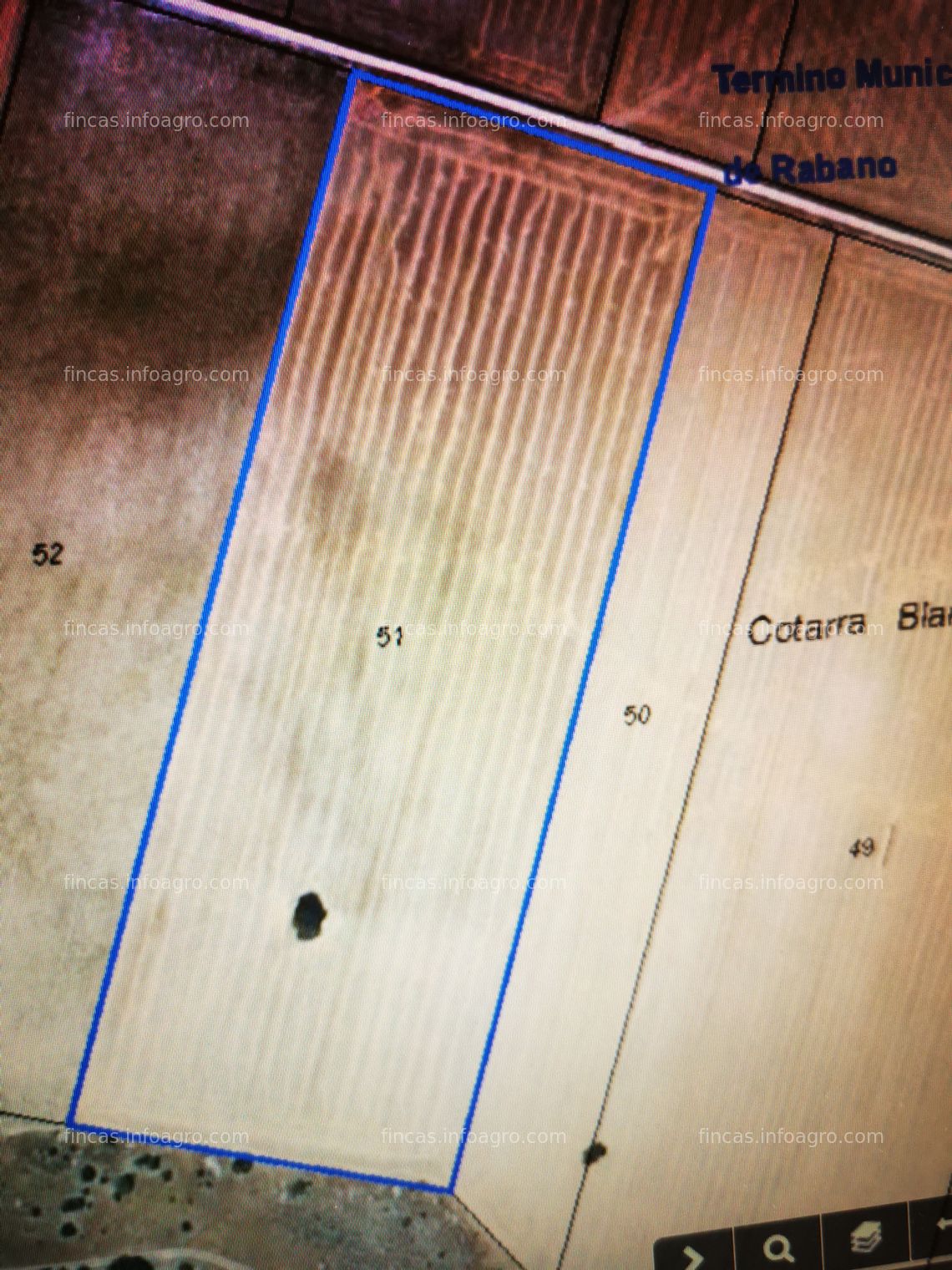 Fotos de A la venta  VIÑEDOS Y PARCELAS DE REGADIO Y SECANO RIBERA DE DUERO