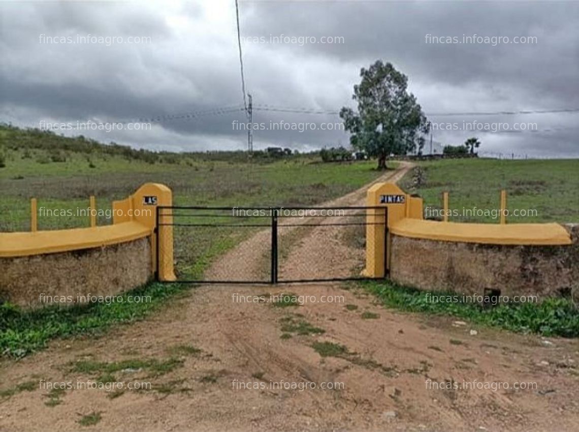 Fotos de A la venta Finca Ganadera en Badajoz