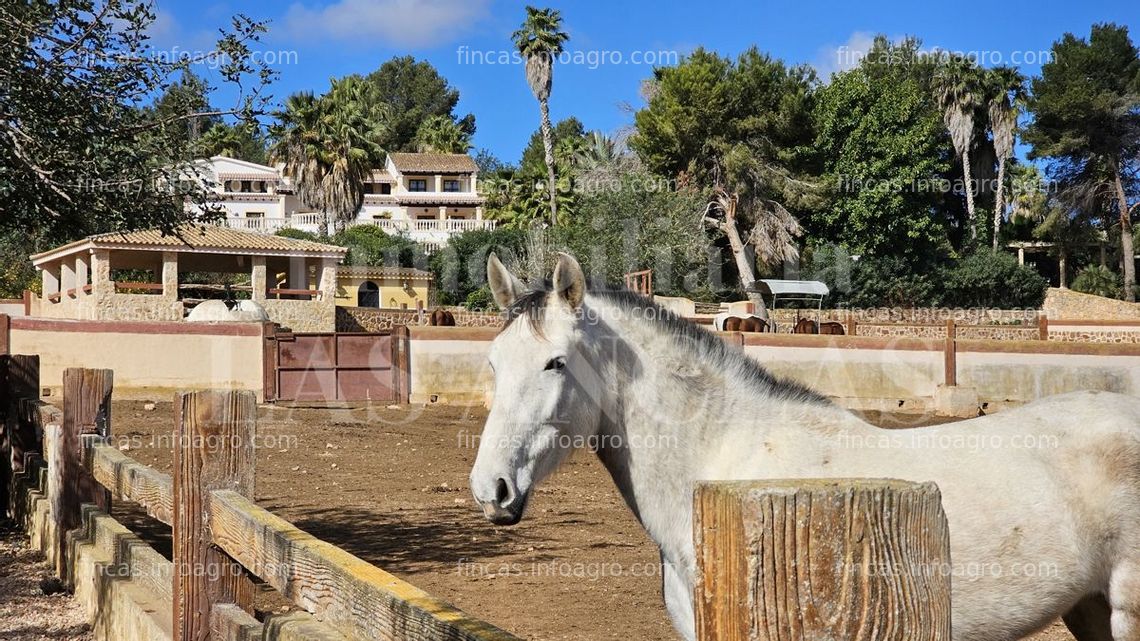 Fotos de Se vende Ibiza: Hacienda con criadero de caballos PRE