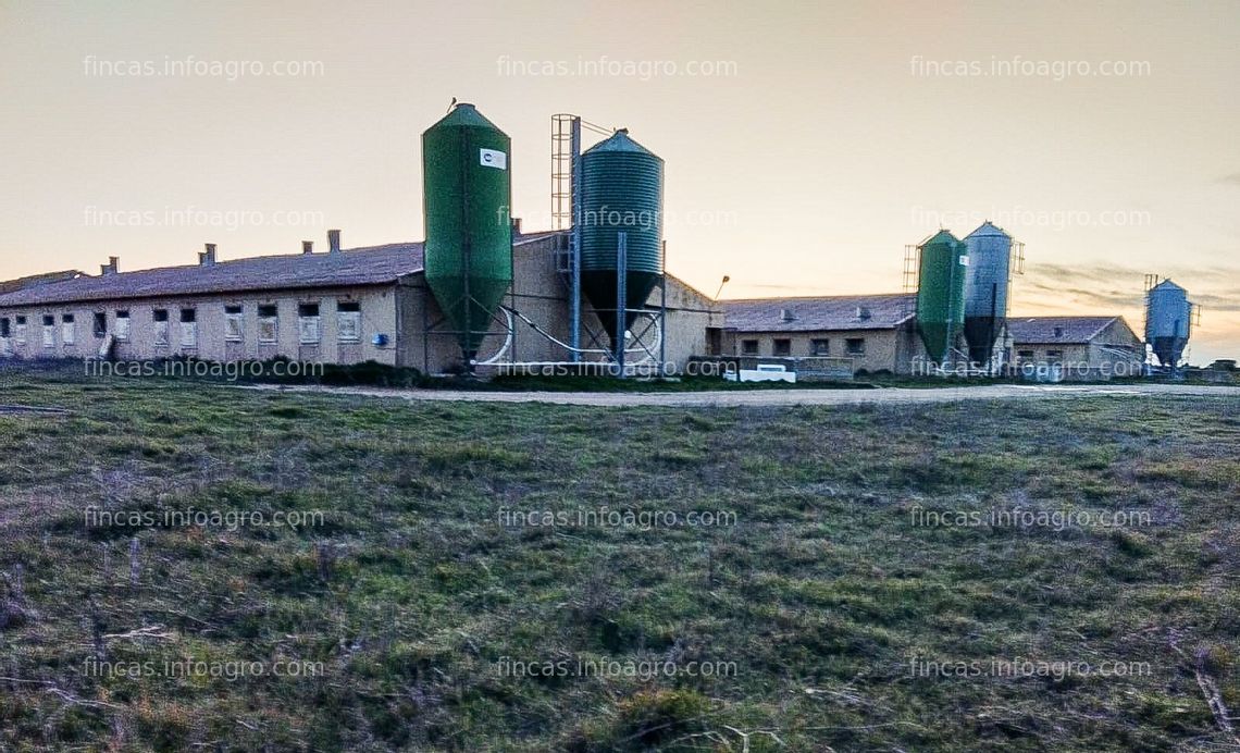 Fotos de A la venta ¡Oportunidad Única en Pesquera de Duero, Valladolid!  Esta granja porcina en pleno funcionamiento es el sueño hecho realidad para cualquier emprendedor del sector agrícola. ¡No dejes escapar esta oportunidad única de inversión!