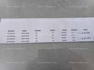 En venta  Oportunidad: parcelas en Aldearrubia (Salamanca)de regadío y secano. 