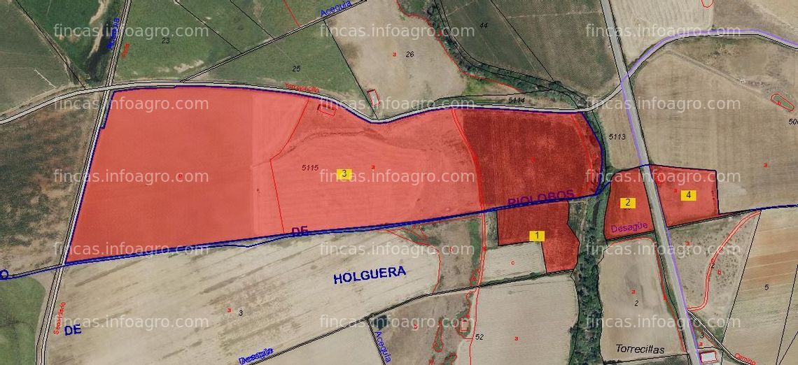 Fotos de Se vende finca de regadio en riolobos y holguera (cáceres)