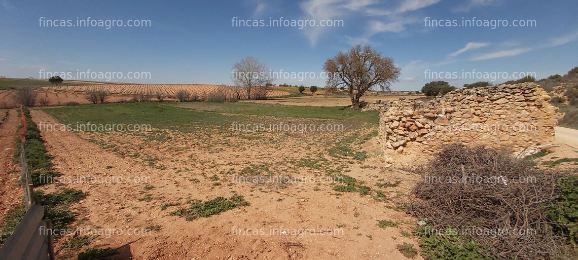 Fotos de Vendo Tierra de secano utilizada para cultivar hortalizas. 