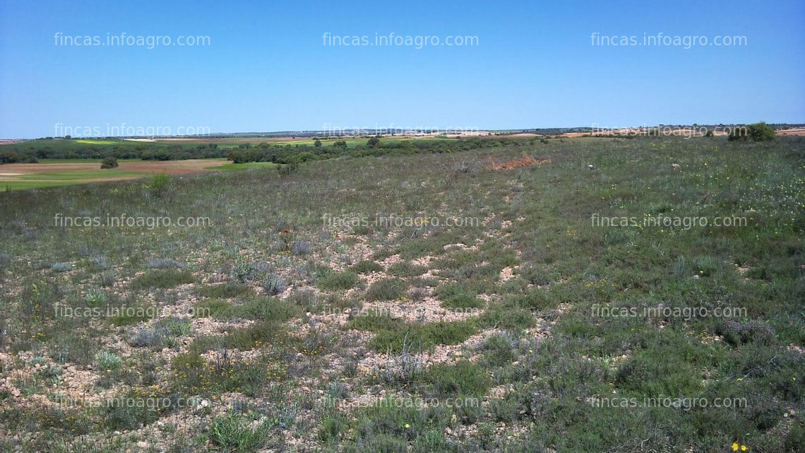 Fotos de A la venta Parcela rústica de 2 ha.