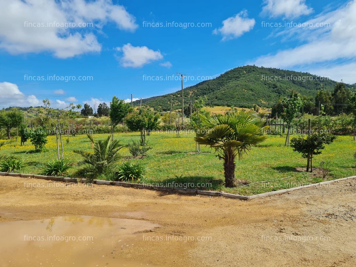 Fotos de En venta  HERMOSA Parcela CASA,Piscina,Cancha De Futbolito en el Valle de Colchagua - CHILE