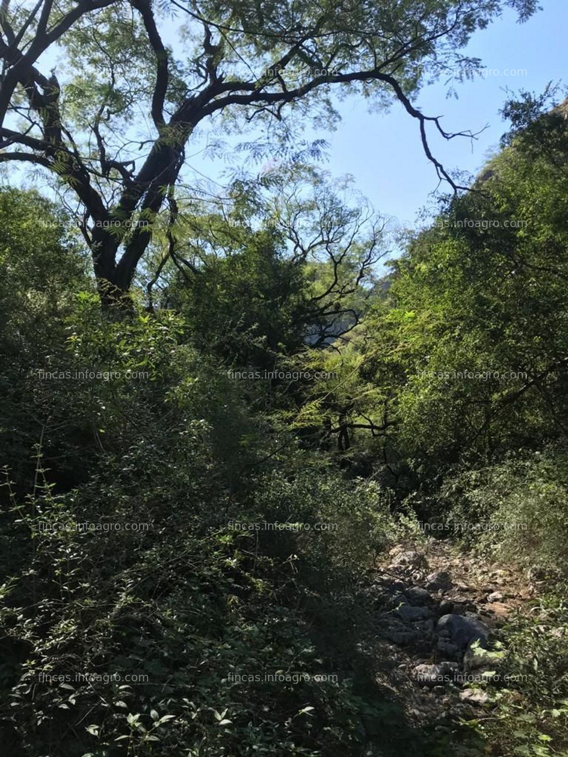 Fotos de A la venta Campo en La Rioja - Argentina