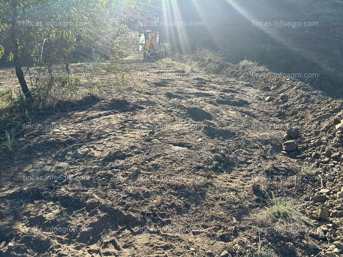 Fotos de Vendo Parcela rustica en Itrabo 18.000,00 euros