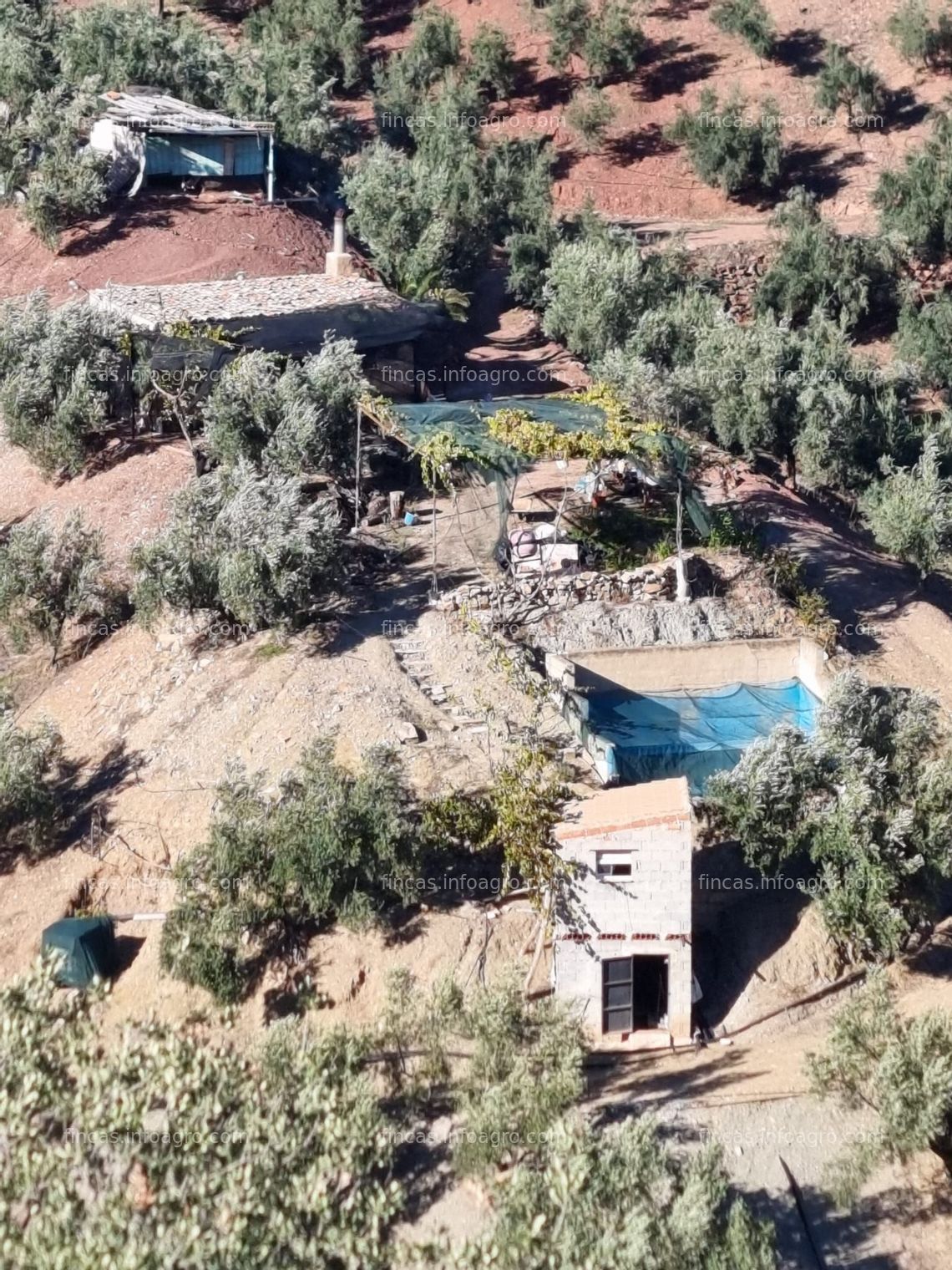 Fotos de Se vende Finca de olivos con cortijo