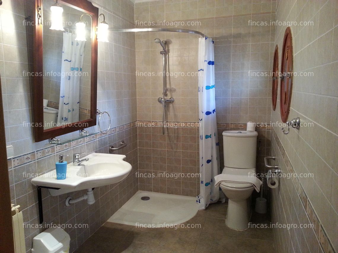 Fotos de En venta  casa rural con finca olivos en Utiel