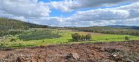 Fotos de A la venta Maravillosa finca en Puebla de la Reina (Badajoz)
