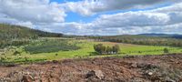 Fotos de A la venta Maravillosa finca en Puebla de la Reina (Badajoz)