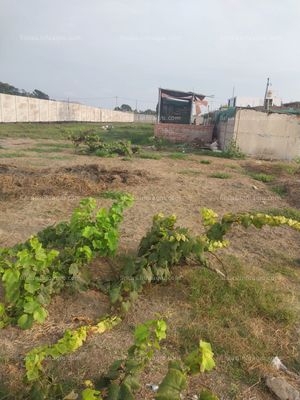 En venta Terreno de 800 mts. para casa de campo en mala.