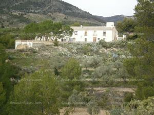 En venta  Finca rústica y caserío en Torremanzanas (Alicante)