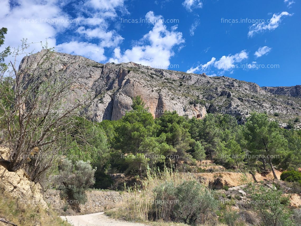 Fotos de Vendo Finca de 30Ha a 20 kms de Benidorm y en un entorno de naturaleza