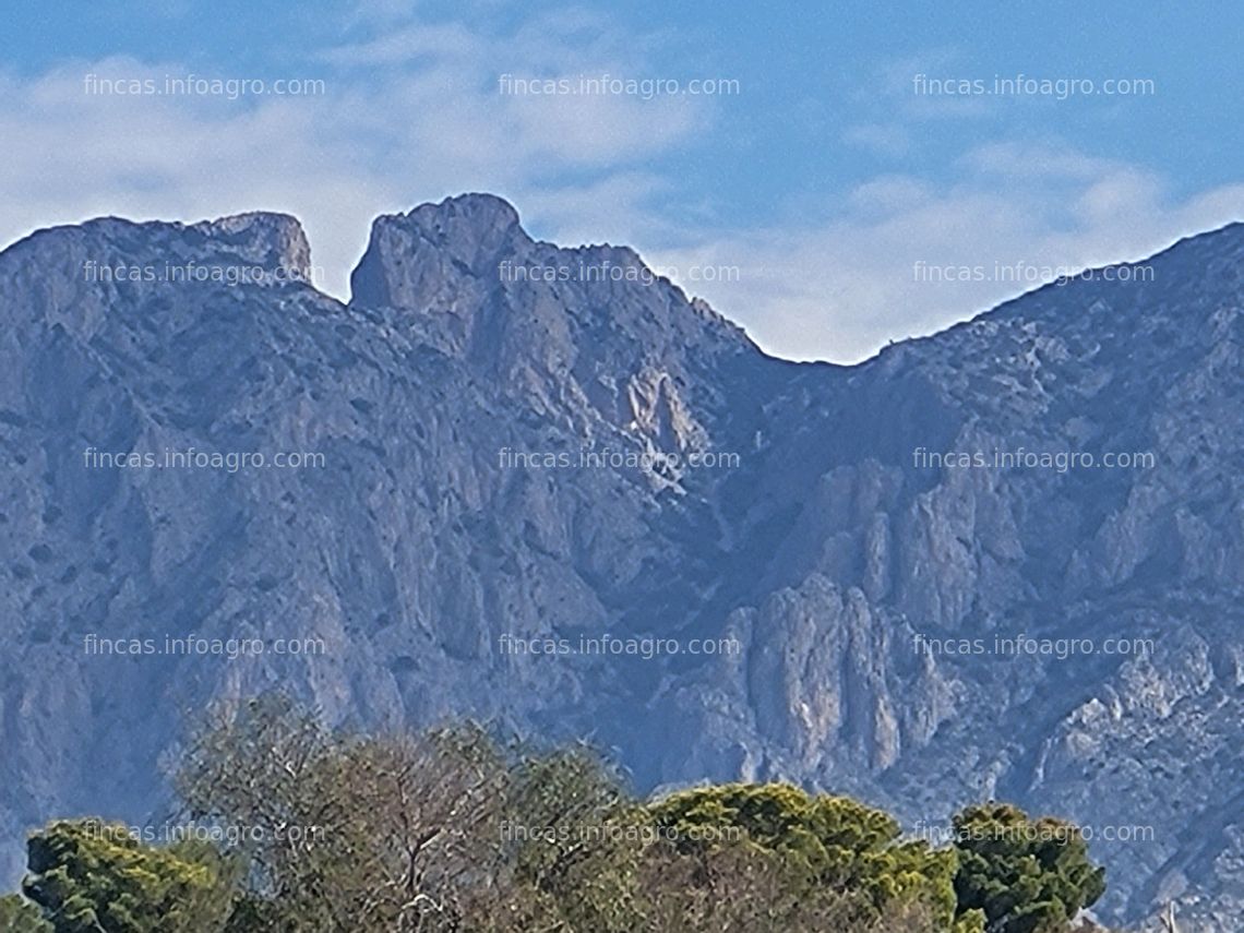 Fotos de Vendo Finca de 30Ha a 20 kms de Benidorm y en un entorno de naturaleza