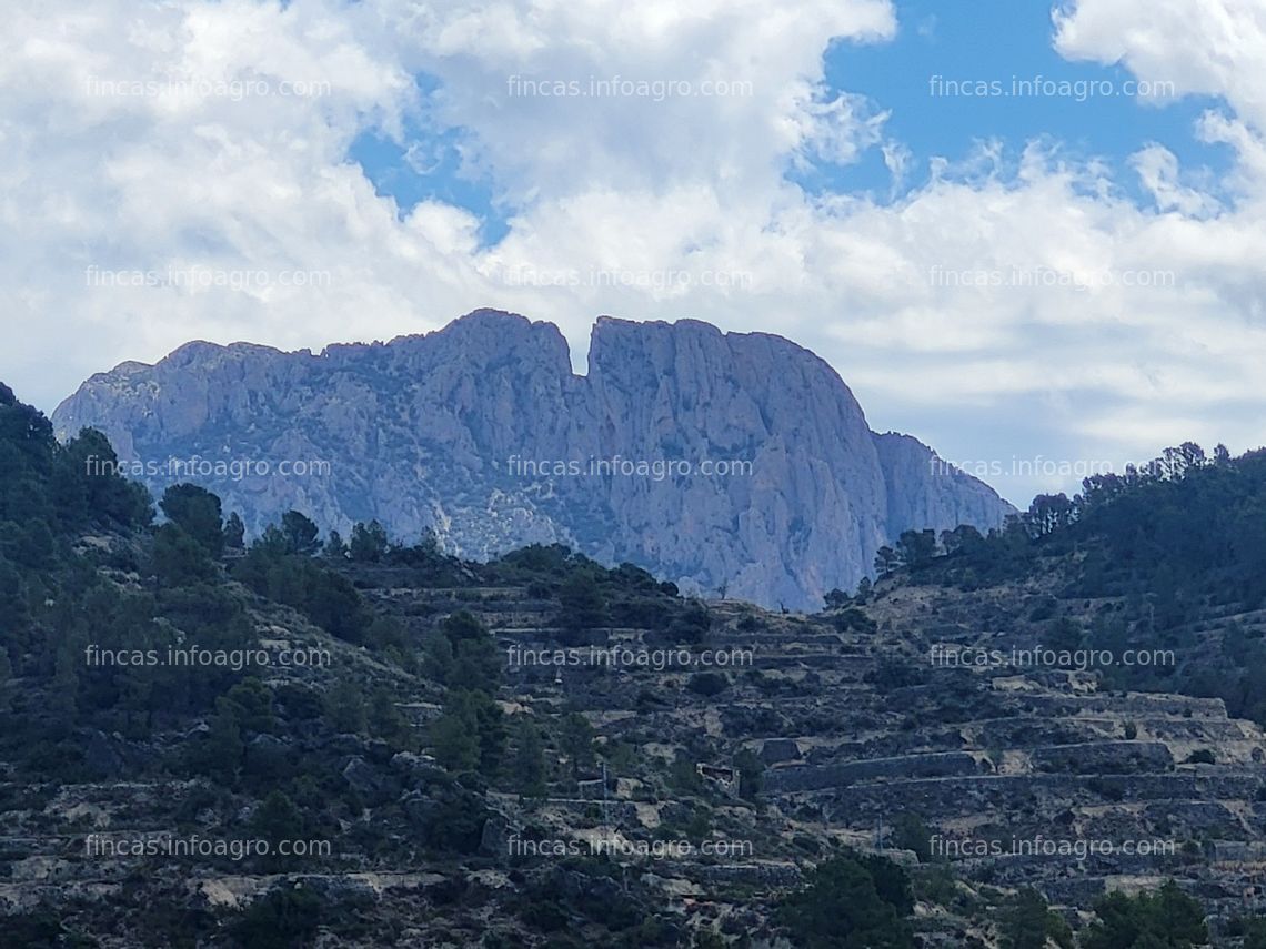 Fotos de Vendo Finca de 30Ha a 20 kms de Benidorm y en un entorno de naturaleza