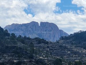 Vendo Finca de 30Ha a 20 kms de Benidorm y en un entorno de naturaleza