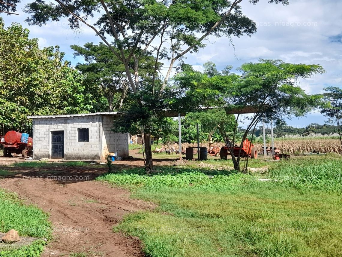 Fotos de Se vende Finca rústica con caña y maiz