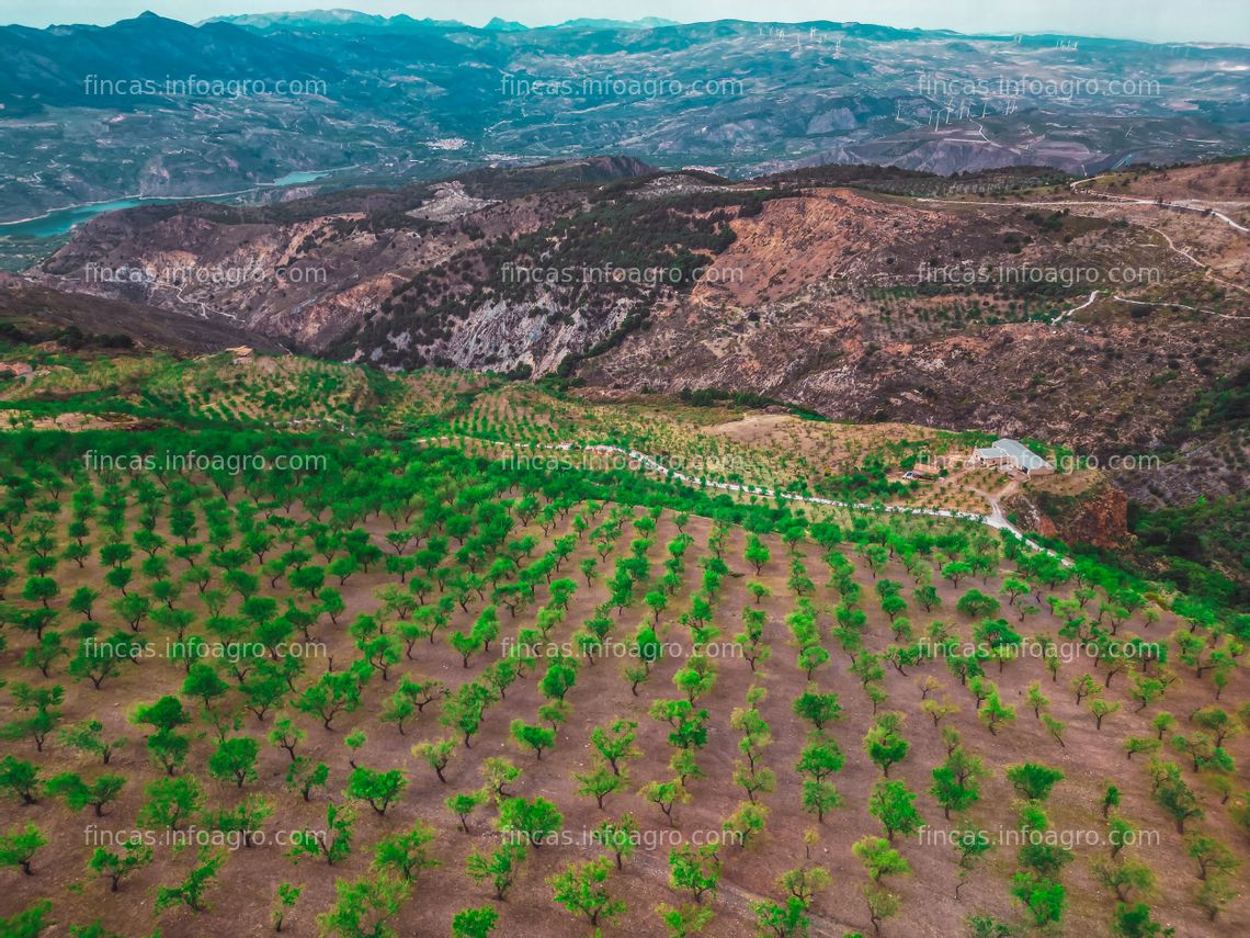 Fotos de A la venta Campo de Almendros "Valle de Lecrín"