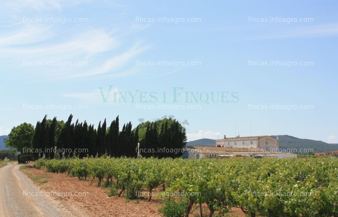 Fotos de A la venta Masia con vivero tecnológico para vides en el Penedès