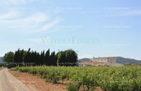 Fotos de A la venta Masia con vivero tecnológico para vides en el Penedès