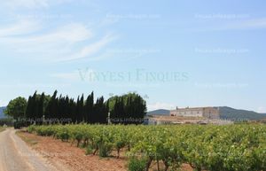 A la venta Masia con vivero tecnológico para vides en el Penedès