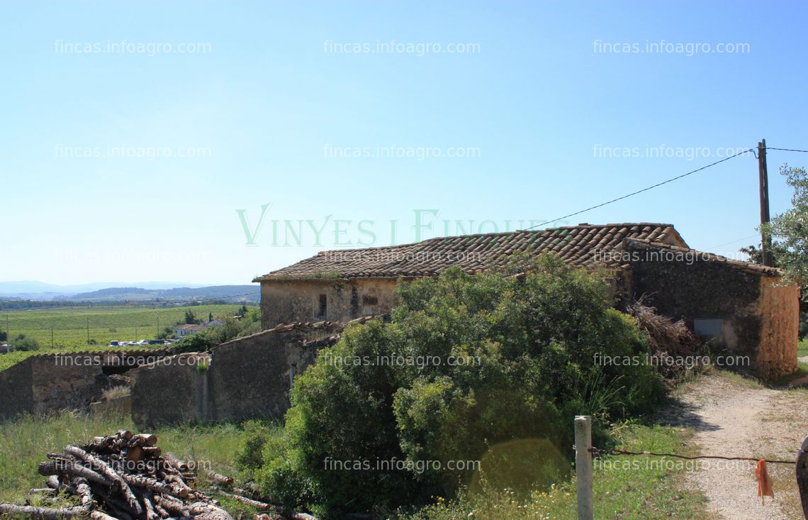 Fotos de Vendo Masia rural con viñedo en el Penedès