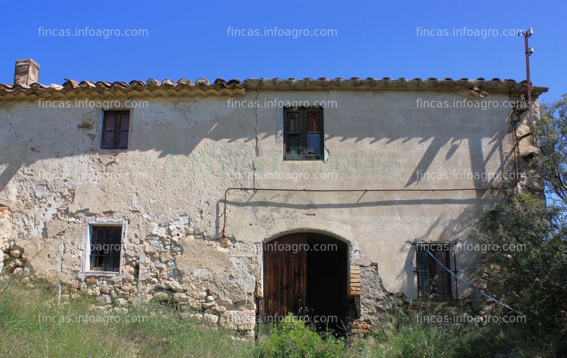 Fotos de Vendo Masia rural con viñedo en el Penedès