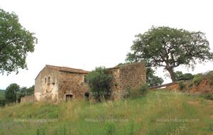 Vendo Finca con masia rural con terreno en el Alt Empordà