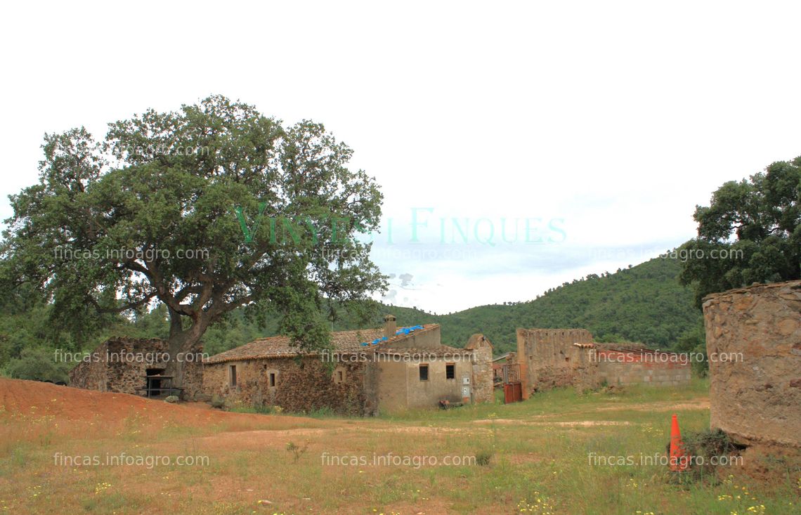 Fotos de Vendo Finca con masia rural con terreno en el Alt Empordà