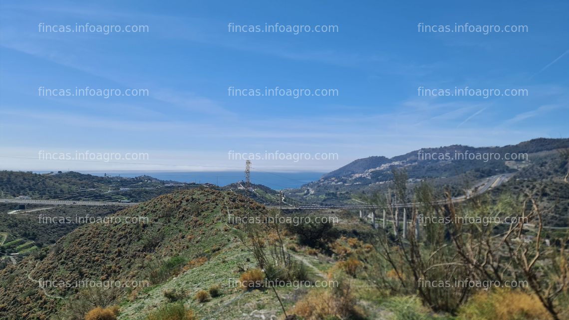 Fotos de A la venta PRECIO IMBATIBLE - FINCA DE 4,7 HECTÁREAS