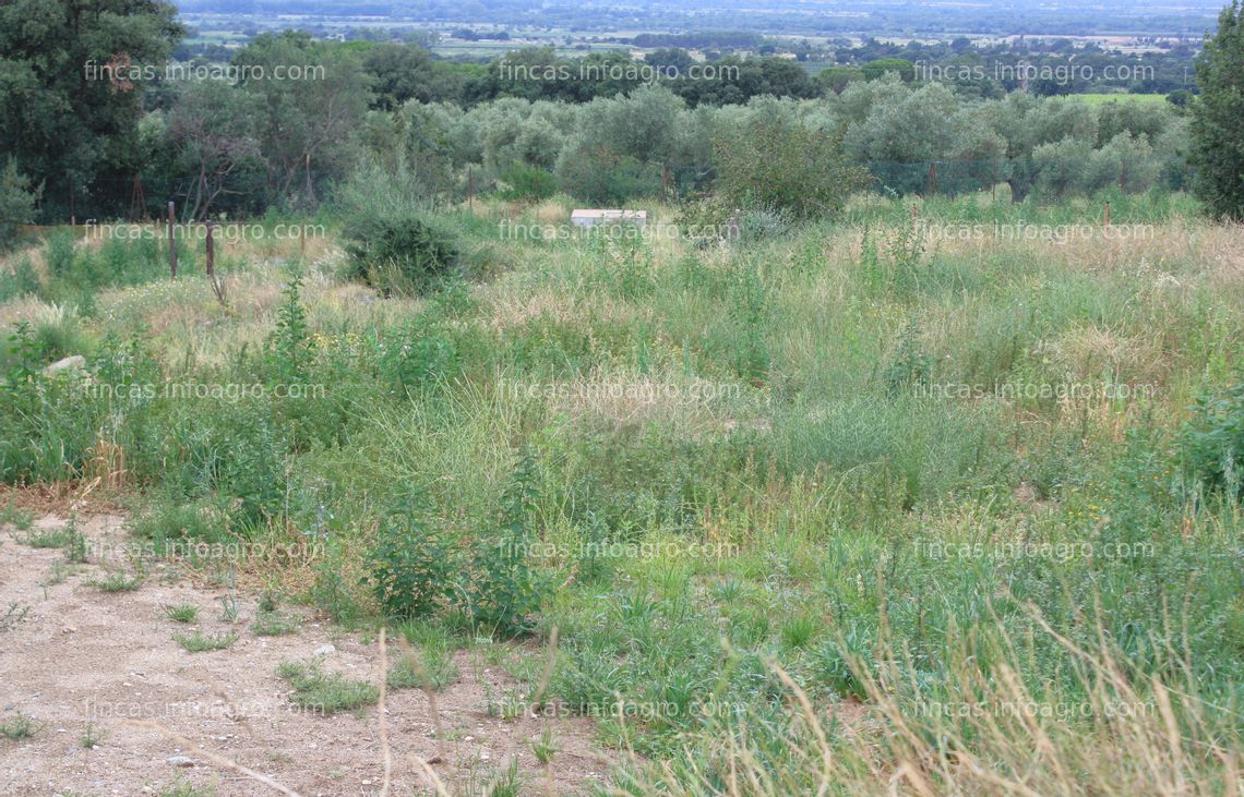 Fotos de Vendo Masia rehabilitada en la Costa Brava 