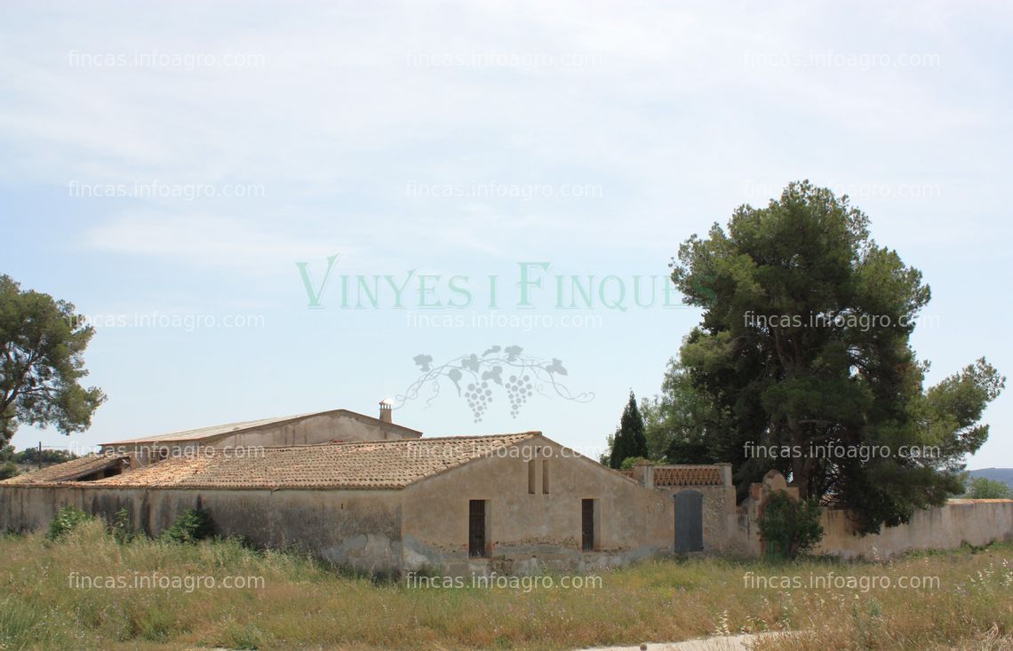 Fotos de En venta  Masia rural con viñedo en el Penedès