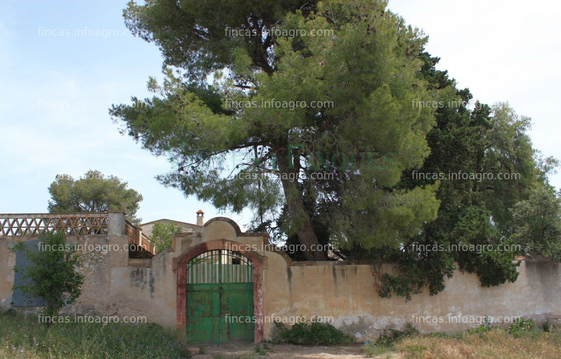 Fotos de En venta  Masia rural con viñedo en el Penedès