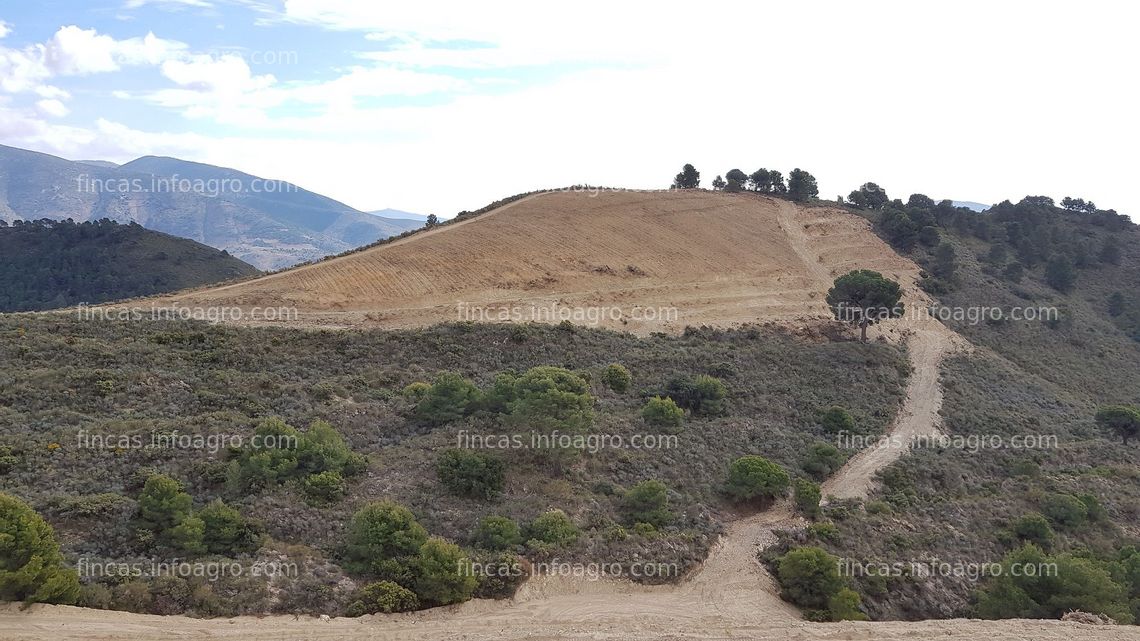 Fotos de En venta  Parcela rústica abancalada con pozo, caseta, nave e instalación solar