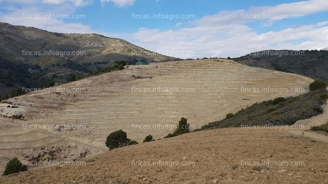 Fotos de En venta  Parcela rústica abancalada con pozo, caseta, nave e instalación solar