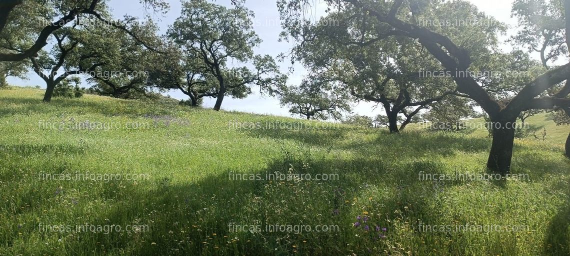 Fotos de En venta  finca en rentabilidad con todo el ganado, aperos y maquinaria incluidos