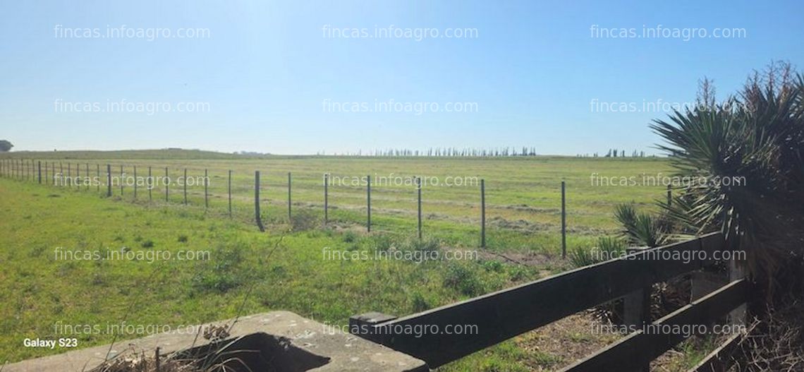 Fotos de En venta  En Argentina Finca de 500 has. agrícolas y Ganaderas - 174 has con riego