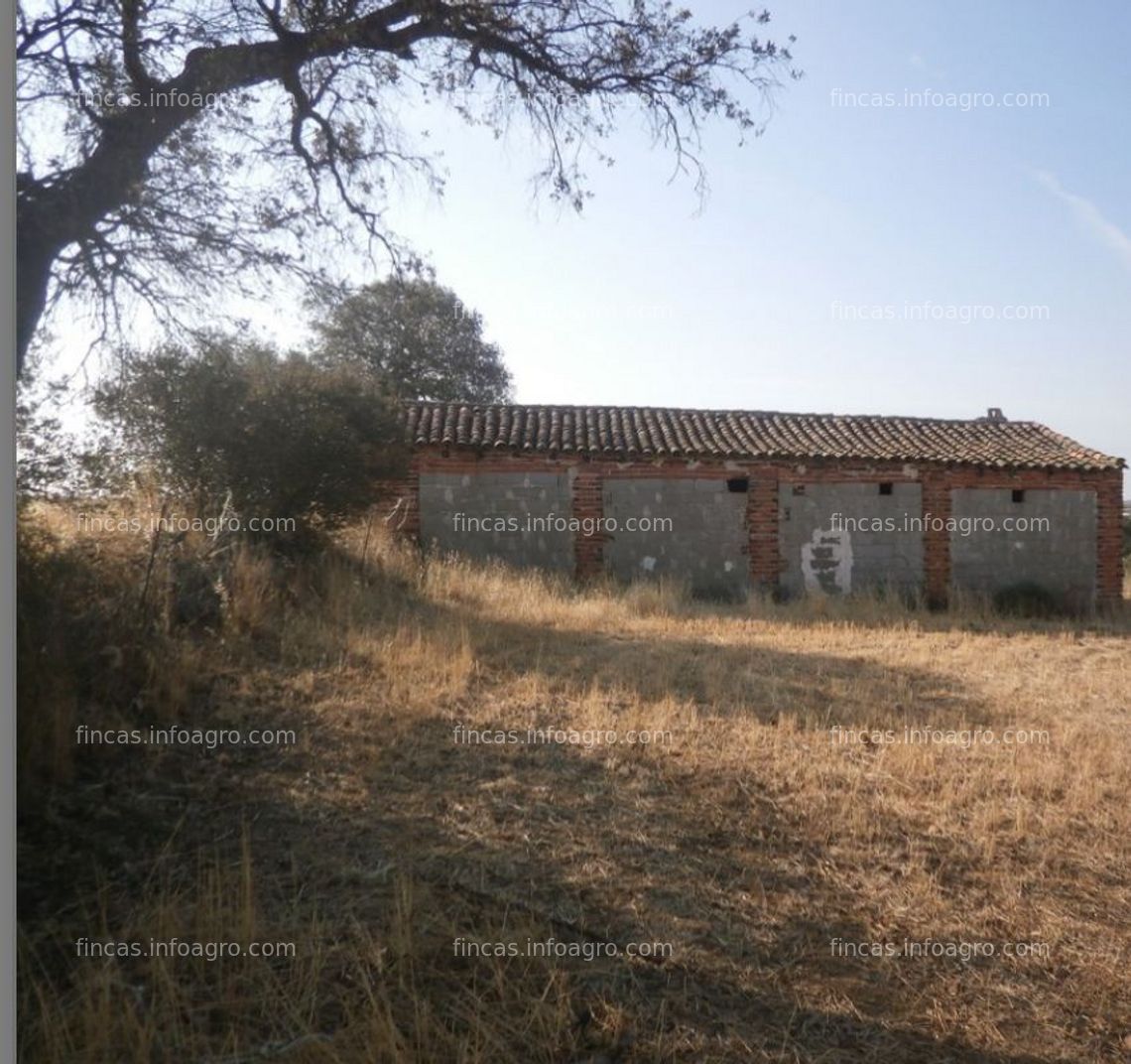 Fotos de En venta  El Viso tierra agrícola