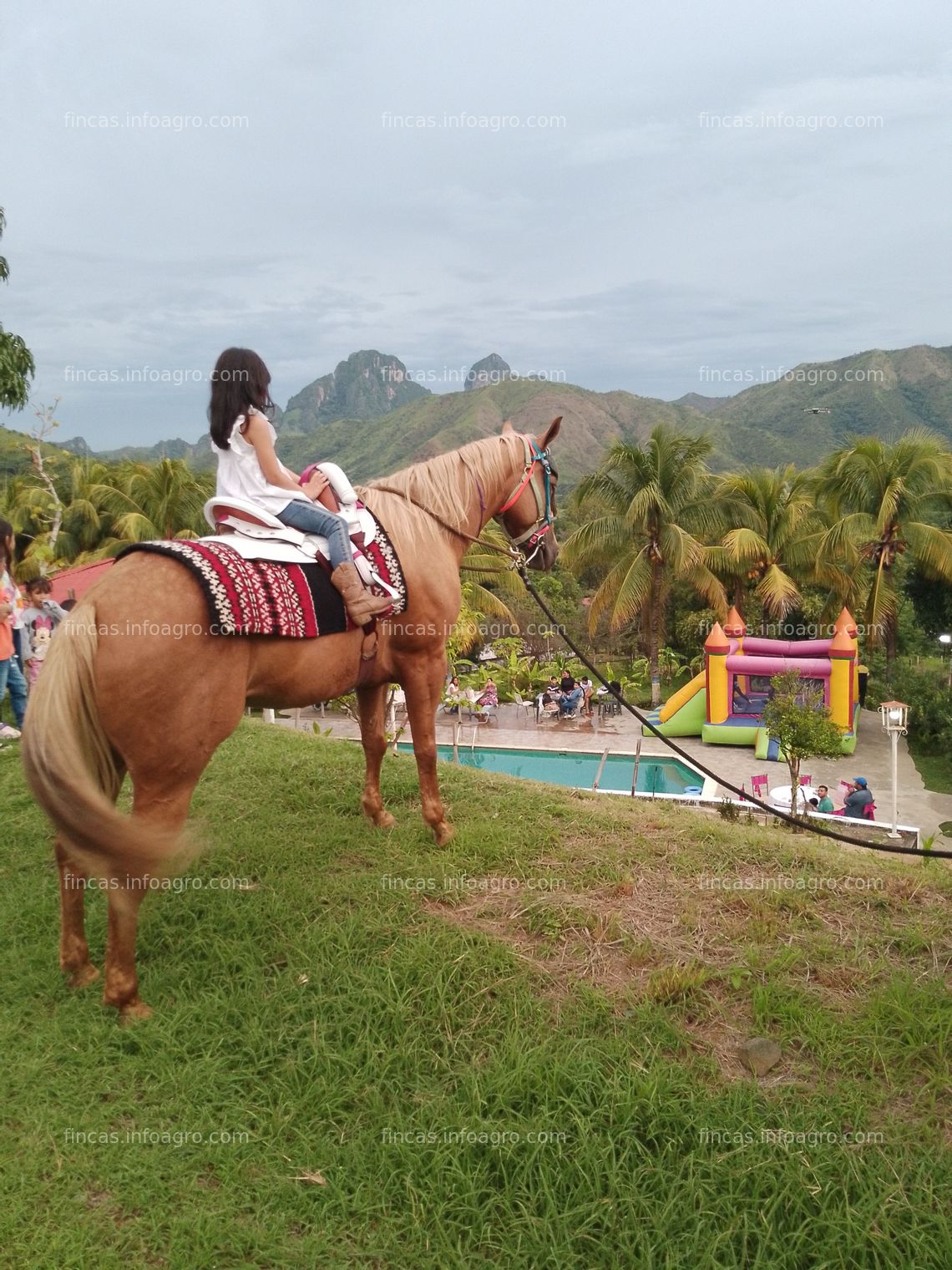 Fotos de En venta  finca Agroturistica 