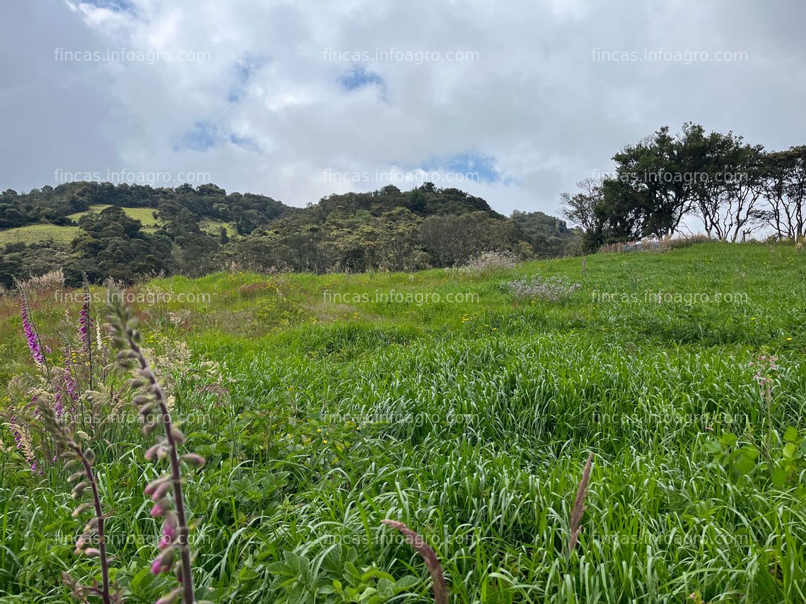 Fotos de A la venta finca: Número Tres (3) El Tagua Ubicación: Vereda Cascajal, zona rural del municipio de Subachoque, Departamento de Cundinamarca, Colombia Área Total del Terreno: 12 hectáreas y 4245 m²