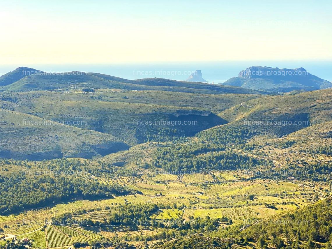 Fotos de Se vende conjunto de fincas agrícolas, forestales y urbanizables cerca de Benidorm