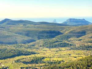 Se vende conjunto de fincas agrícolas, forestales y urbanizables cerca de Benidorm