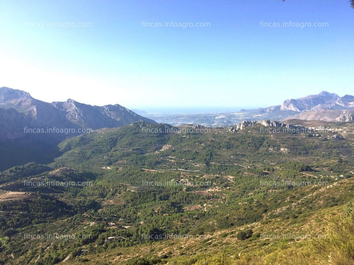 Fotos de Se vende conjunto de fincas agrícolas, forestales y urbanizables cerca de Benidorm