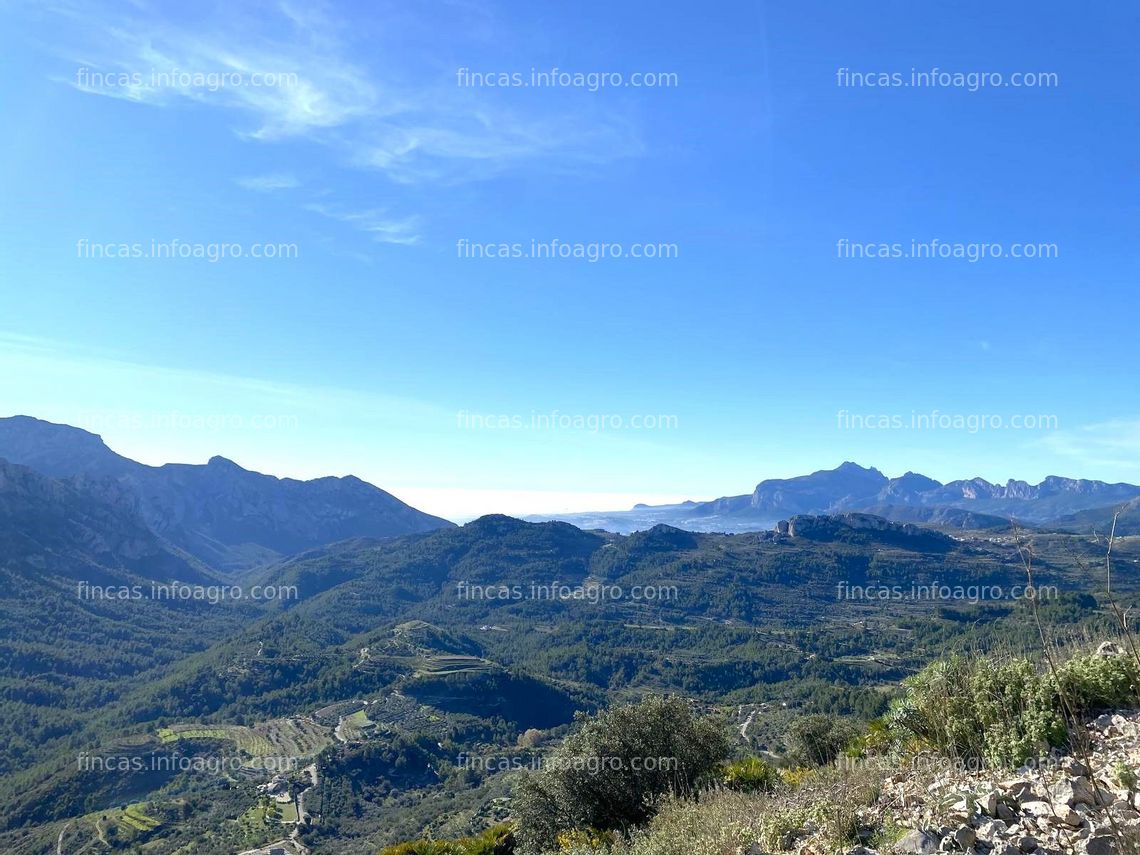 Fotos de Se vende conjunto de fincas agrícolas, forestales y urbanizables cerca de Benidorm