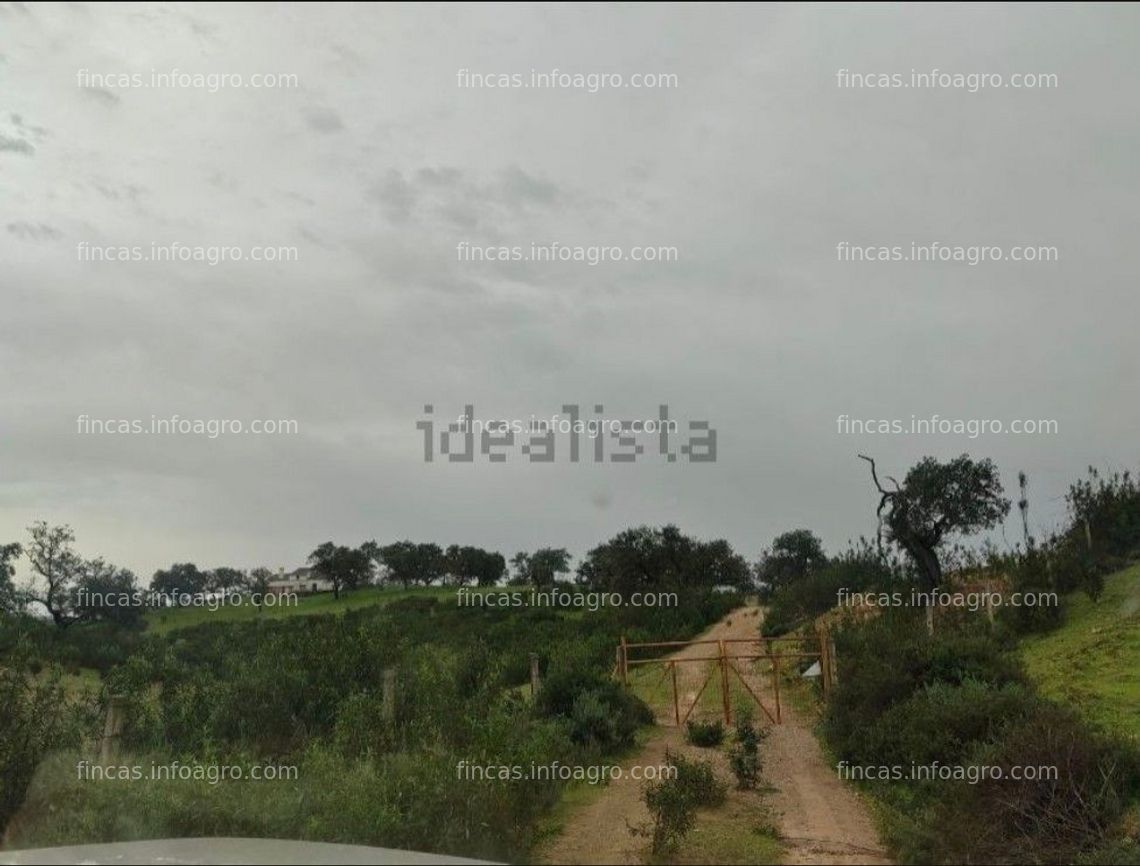 Fotos de A la venta finca rústica