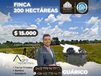 Fotos de En venta  FINCA PRODUCTIVA DE 200 HECTÁREAS | ESTADO GUÁRICO