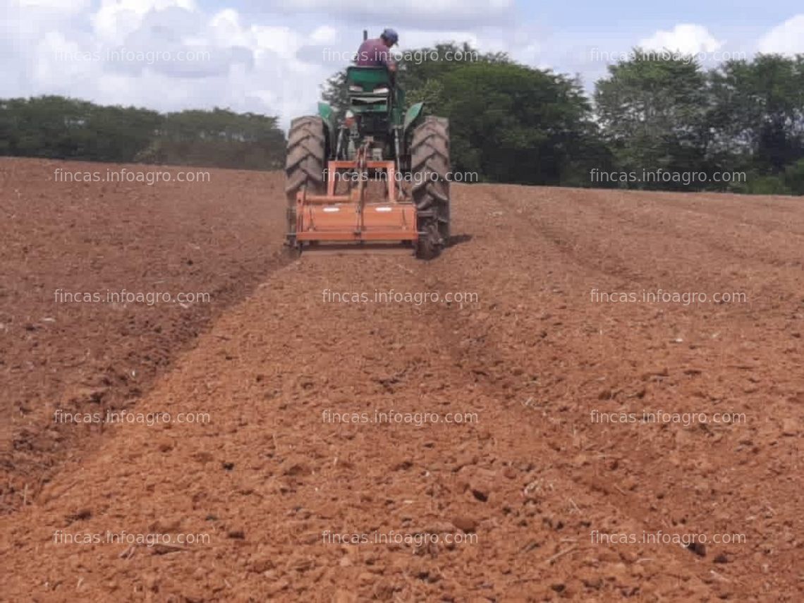 Fotos de A la venta finca productiva de 800 hectáreas | Estado Guarico