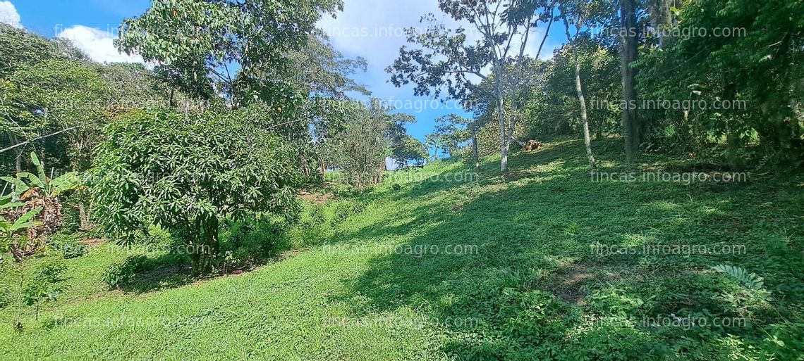 Fotos de Vendo lote en el municipio de Chitaraque - Boyacá